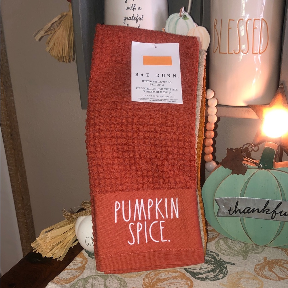 Rae Dunn PUMPKIN SPICE AND EVERYTHING NICE Set of 3 Embroidered Kitchen Towels